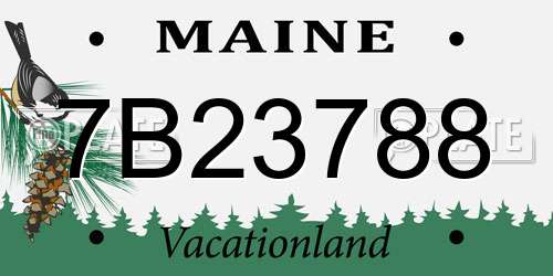 7B23788 Maine License Plate