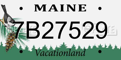 7B27529 Maine License Plate