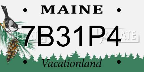 7B31P4 Maine License Plate