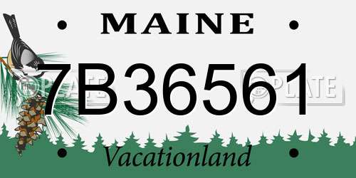 7B36561 Maine License Plate