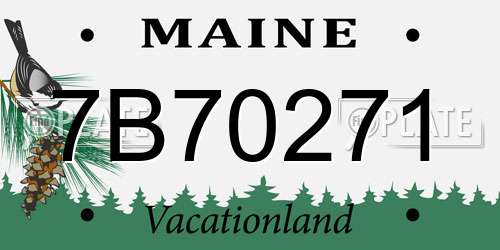 7B70271 Maine License Plate