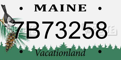 7B73258 Maine License Plate