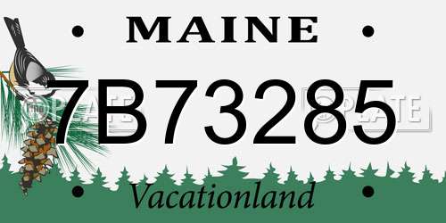 7B73285 Maine License Plate