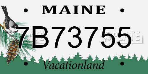 7B73755 Maine License Plate