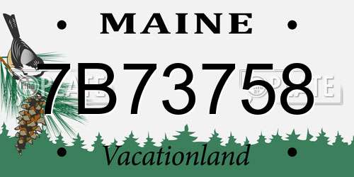7B73758 Maine License Plate