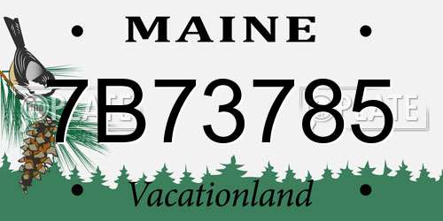 7B73785 Maine License Plate