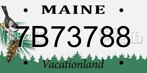 7B73788 Maine License Plate