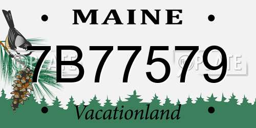 7B77579 Maine License Plate
