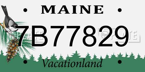 7B77829 Maine License Plate