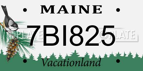 7BI825 Maine License Plate