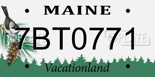 7BT0771 Maine License Plate