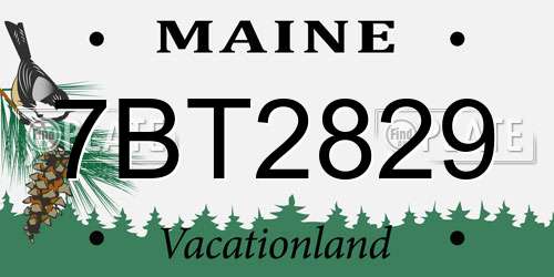 7BT2829 Maine License Plate