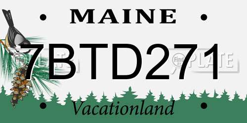 7BTD271 Maine License Plate