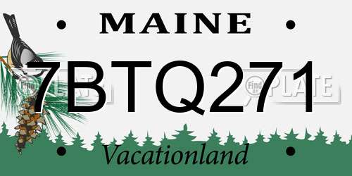 7BTQ271 Maine License Plate