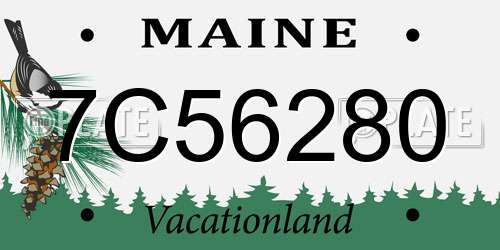 7C56280 Maine License Plate