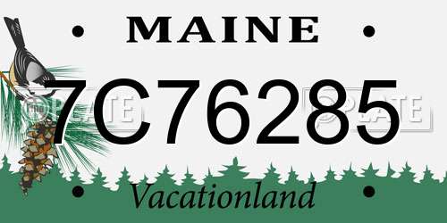 7C76285 Maine License Plate