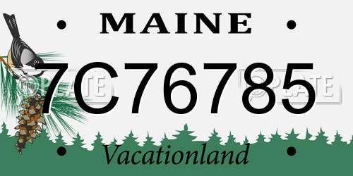 7C76785 Maine License Plate