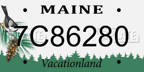 7C86280 Maine License Plate