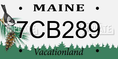 7CB289 Maine License Plate