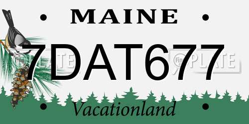 7DAT677 Maine License Plate