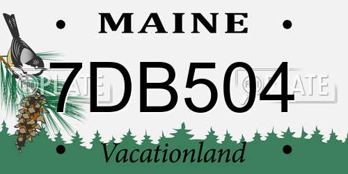 7DB504 Maine License Plate