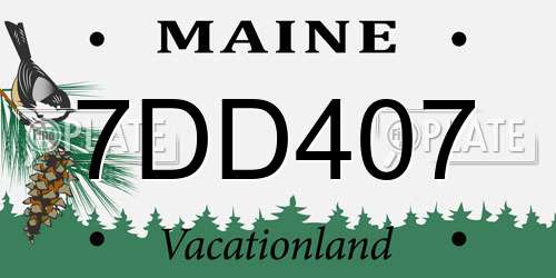 7DD407 Maine License Plate