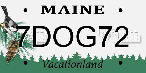 7DOG72 Maine License Plate