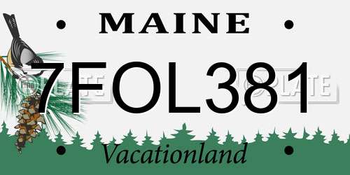 7FOL381 Maine License Plate