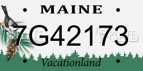 7G42173 Maine License Plate