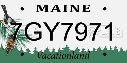 7GY7971 Maine License Plate