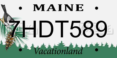 7HDT589 Maine License Plate