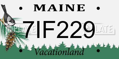 7IF229 Maine License Plate