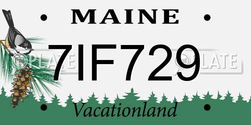 7IF729 Maine License Plate