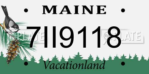 7II9118 Maine License Plate