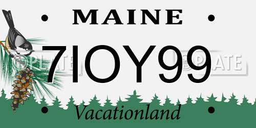 7IOY99 Maine License Plate