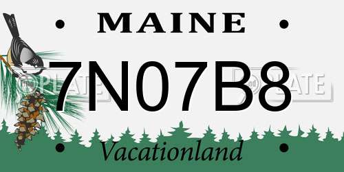 7N07B8 Maine License Plate