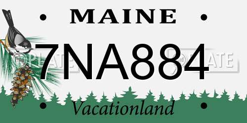 7NA884 Maine License Plate