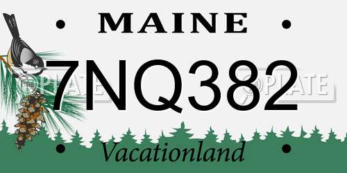 7NQ382 Maine License Plate