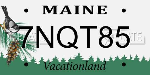 7NQT85 Maine License Plate