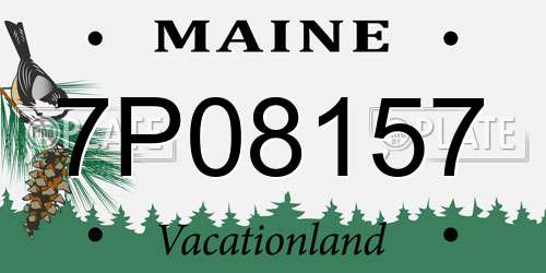 7P08157 Maine License Plate