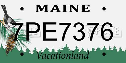 7PE7376 Maine License Plate