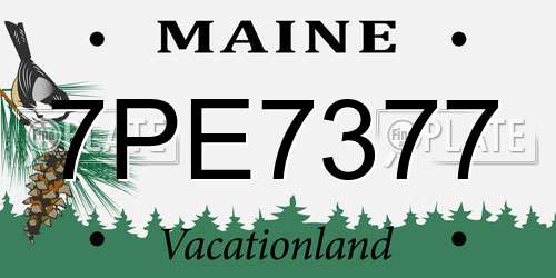 7PE7377 Maine License Plate