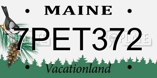 7PET372 Maine License Plate