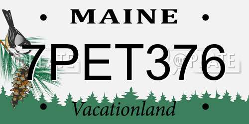 7PET376 Maine License Plate