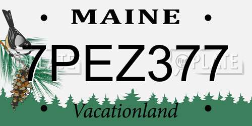 7PEZ377 Maine License Plate
