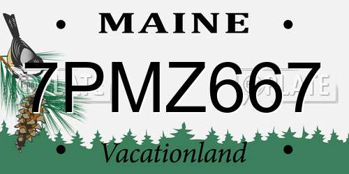 7PMZ667 Maine License Plate