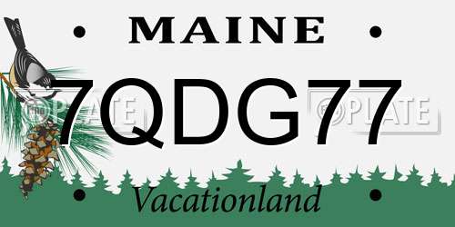 7QDG77 Maine License Plate