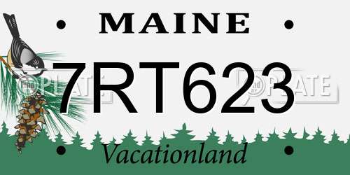 7RT623 Maine License Plate