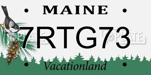 7RTG73 Maine License Plate