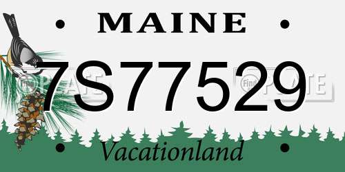 7S77529 Maine License Plate